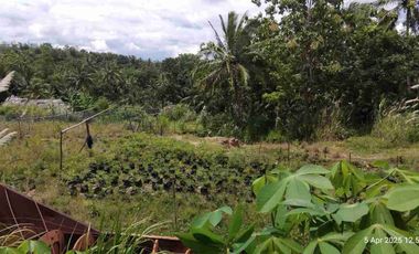 Dijual BU Tanah Tambang Pasir Desa Ciginggang Kabupaten Rangkas Bitung