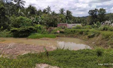 Dijual BU Tanah Tambang Pasir Desa Ciginggang Kabupaten Rangkas Bitung