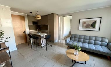 Arriendo SKY 100 1D 1B con bodega Amoblado