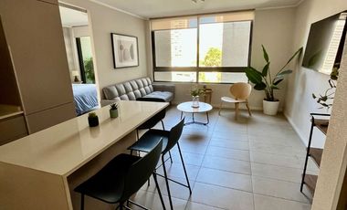 Arriendo SKY 100 1D 1B con bodega Amoblado