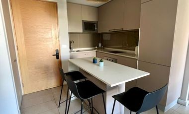 Arriendo SKY 100 1D 1B con bodega Amoblado