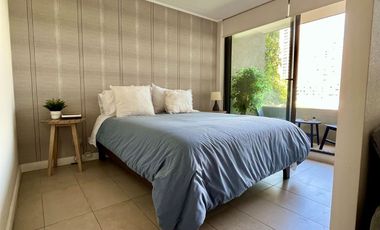 Arriendo SKY 100 1D 1B con bodega Amoblado