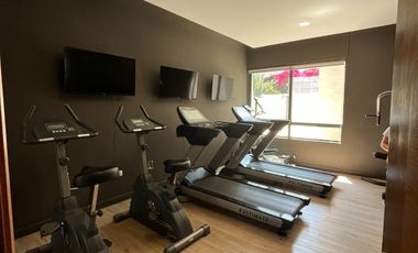 Arriendo SKY 100 1D 1B con bodega Amoblado