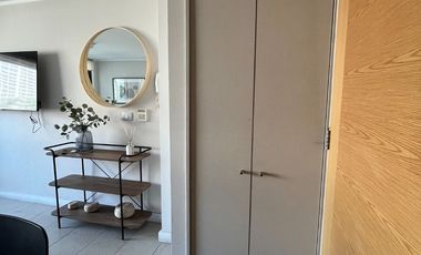 Arriendo SKY 100 1D 1B con bodega Amoblado