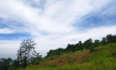 Lots and House and Lots for Sale in Sun Valley/The Perch