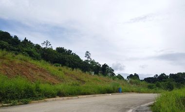 Lots and House and Lots for Sale in Sun Valley/The Perch