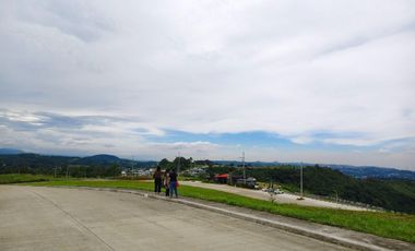 Lots and House and Lots for Sale in Sun Valley/The Perch