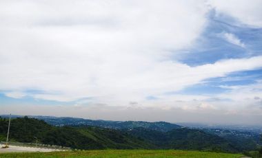 Lots and House and Lots for Sale in Sun Valley/The Perch