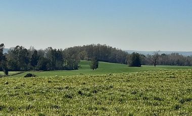 TEMUCO : VENDE PARCELAS HABITACIONALES
