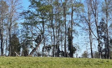 TEMUCO : VENDE PARCELAS HABITACIONALES