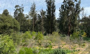 PARCELA CON CASA -FUNDO LOS PERALES