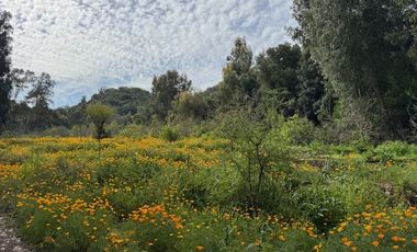PARCELA CON CASA -FUNDO LOS PERALES