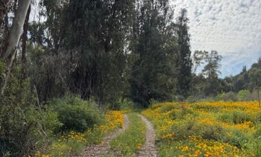 PARCELA CON CASA -FUNDO LOS PERALES