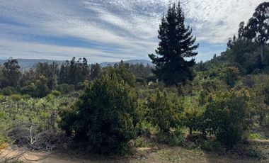 PARCELA CON CASA -FUNDO LOS PERALES