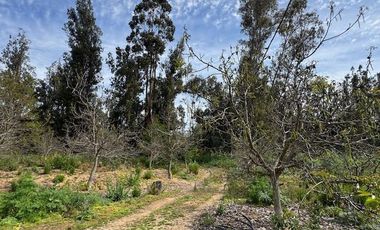 PARCELA CON CASA -FUNDO LOS PERALES