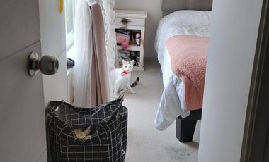 Arriendo Departamento Amoblado en Jardín Sur