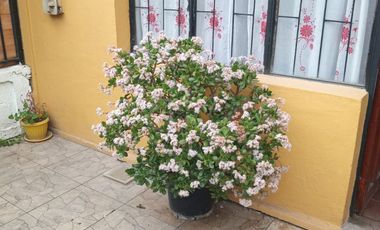 Excelente casa de un piso Población Arboleda, sector Artificio La calera