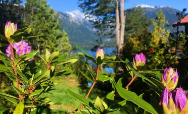 Isla en venta en lago las rocas, Las Bandurrias - Llanada Grande