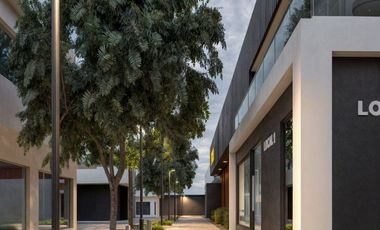 SE RENTA LOCAL COMERCIAL EN COMPLEJO INGAORO