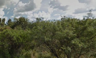 VENTA TERRENO INDUSTRIAL 50,000M2