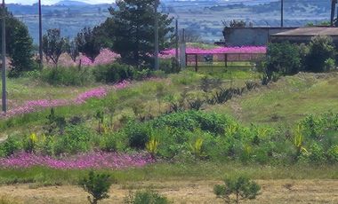 TERRENO 500 M2  IDEAL PARA CABAÑA O CASA DE DESCANSO HUASCA DE OCAMPO, HGO.