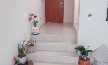 FARASI, HARAS DEL BOSQUE