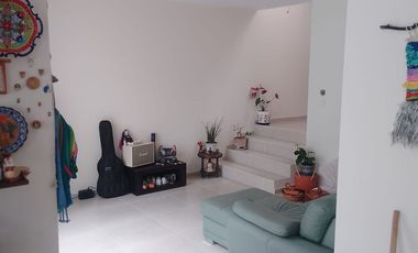 FARASI, HARAS DEL BOSQUE