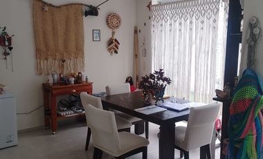 FARASI, HARAS DEL BOSQUE