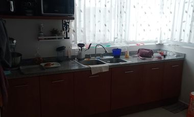 FARASI, HARAS DEL BOSQUE