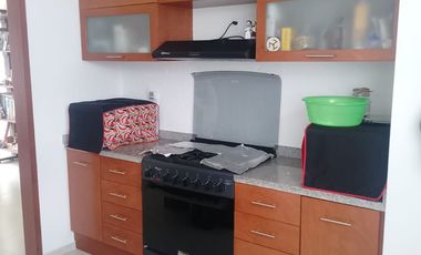 FARASI, HARAS DEL BOSQUE