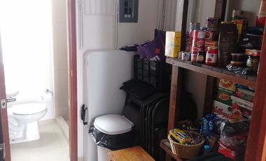 FARASI, HARAS DEL BOSQUE