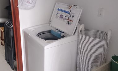 FARASI, HARAS DEL BOSQUE