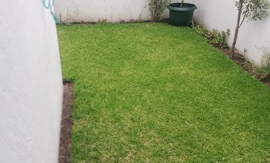 FARASI, HARAS DEL BOSQUE