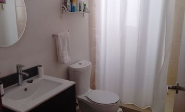 FARASI, HARAS DEL BOSQUE