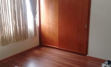 FARASI, HARAS DEL BOSQUE