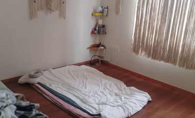 FARASI, HARAS DEL BOSQUE