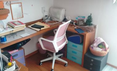 FARASI, HARAS DEL BOSQUE