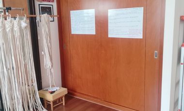 FARASI, HARAS DEL BOSQUE