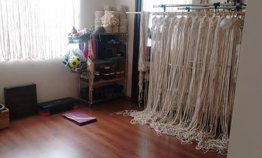 FARASI, HARAS DEL BOSQUE