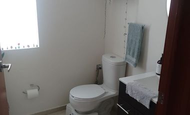 FARASI, HARAS DEL BOSQUE