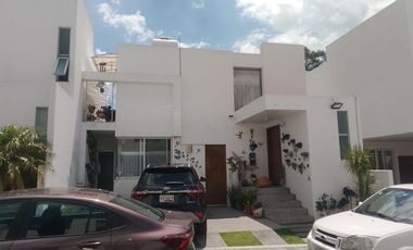 FARASI, HARAS DEL BOSQUE