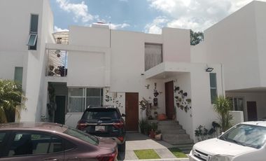 FARASI, HARAS DEL BOSQUE