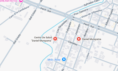 CASA REMATE BANCRIO EN CALLE TULIPANES, COLO DANIEL MURAYAMA, IGUALA GUERRERO