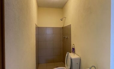 SE RENTA DEPARTAMENTOS PREDIO EN EL CASTILLO