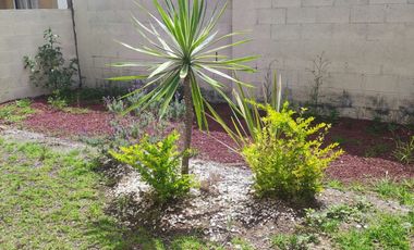 CASA EN RENTA 3 RECAMARAS 2 NIVELES EN PRIVADA CON CONTROL DE ACCSESO.