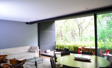 Departamento en Renta, Colonia Condesa