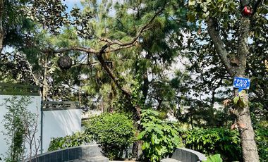 Renta en Pinar de la Venta, Increíble y funcional Propiedad.