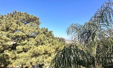 Renta en Pinar de la Venta, Increíble y funcional Propiedad.