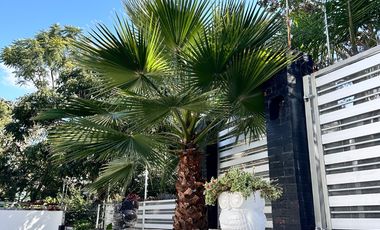 Renta en Pinar de la Venta, Increíble y funcional Propiedad.