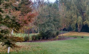 Hermosa Casa Condominio Chicureo 280/5.000 Piscina Jardín